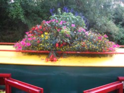 Narrowboat Flowers Wallpaper