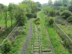 Disused Tracks Wallpaper