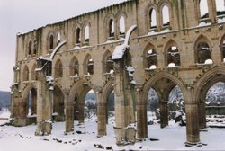 Arches in Snow Wallpaper