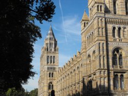 Natural History Museum Wallpaper