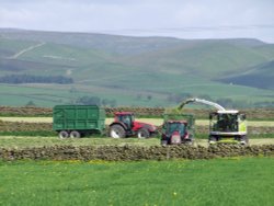 Farmers at work