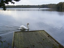 Just passing Through At Snowhill Pond Wallpaper