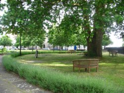 Bluebells and Benches Wallpaper