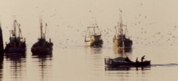 The herring fleet Wallpaper