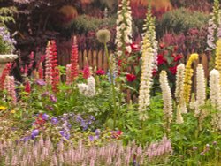 English Country Garden - Herbaceous border 1 Wallpaper