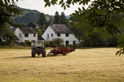 Rural scene within the town Wallpaper