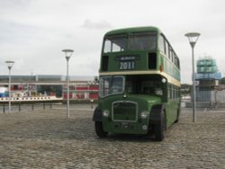 Bus and Balmoral Wallpaper