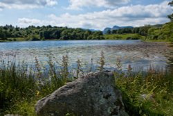 Loughrigg Tarn Wallpaper