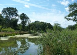 Bookham Common Pond- (well one of them) Wallpaper
