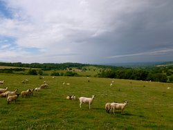 Pasture overlooking Snowshill. Wallpaper