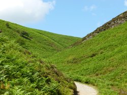 Up the Long Mynd Wallpaper