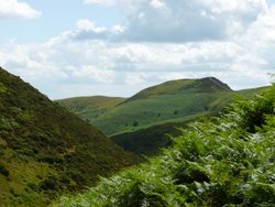 The Long Mynd Wallpaper