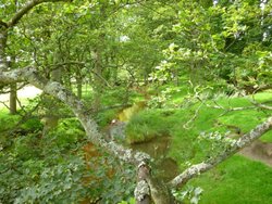 Off the footpath from Stone House to Hawes. Wallpaper