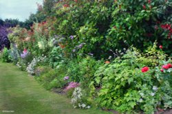 Cottage Gardens Wallpaper