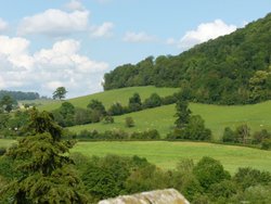 View from the castle. Wallpaper