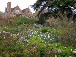 Hidcote Manor Garden Wallpaper