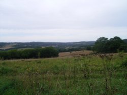 Chilham Denge Wood Walk (7) Wallpaper