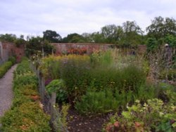 Walled Garden, Packwood House Wallpaper