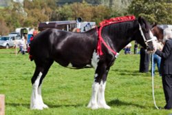 Loweswater Show Wallpaper