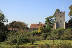 Apple orchard at Greys Court Wallpaper