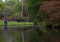 Exbury Gardens Wallpaper