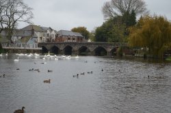 River Avon Wallpaper