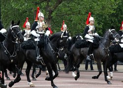 Royal Wedding 2011 London