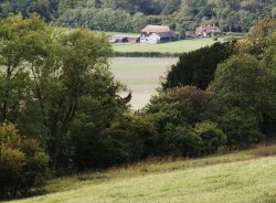 View from Newlands Corner Wallpaper