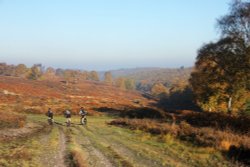 Mountain Biking on Cannock Chase Wallpaper