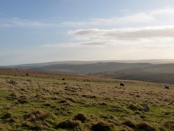 Dartmoor Wallpaper