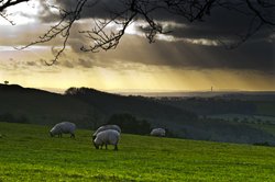 West Meon, Hampshire