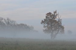 Fog approaching Wallpaper