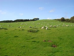 Ravenglass, rural landscape Wallpaper