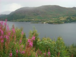 Loch Carron Wallpaper