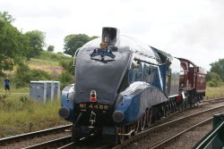 Mallard pulled backwards by Hogwarts Castle Wallpaper