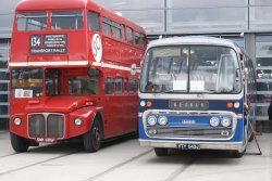 The local service and the seaside coach Wallpaper