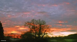 Stour Valley Winter, Shillingstone. Wallpaper