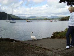 Lake Windermere Wallpaper