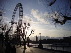 Queen's Walk, Thames Embankment & London Eye.