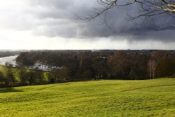 Thames and Twickenham Stadium from Richmond Hill Wallpaper