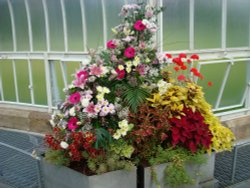 Kibble Palace, floral display Wallpaper