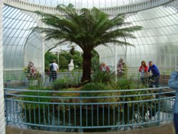 Inside the Kibble Palace Wallpaper