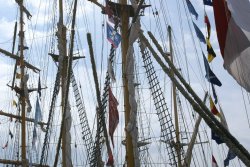 Flag day at Hartlepool Wallpaper