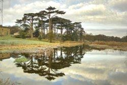 Reflections - Attingham Park, Shrewsbury Wallpaper