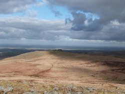 Dartmoor Wallpaper