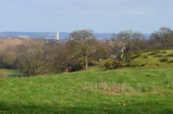 View from Breakback Lane, towards Loughborough Wallpaper