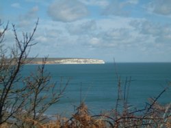 Culver Cliff from Shanklin. Wallpaper