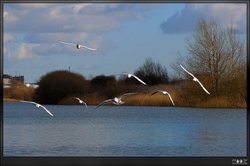 Sixfields - Flood Storage Reservoir Wallpaper