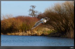 Sixfields - Flood Storage Reservoir Wallpaper