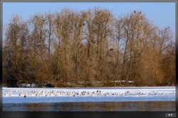 Northampton - Nene Valley Reservoir Wallpaper